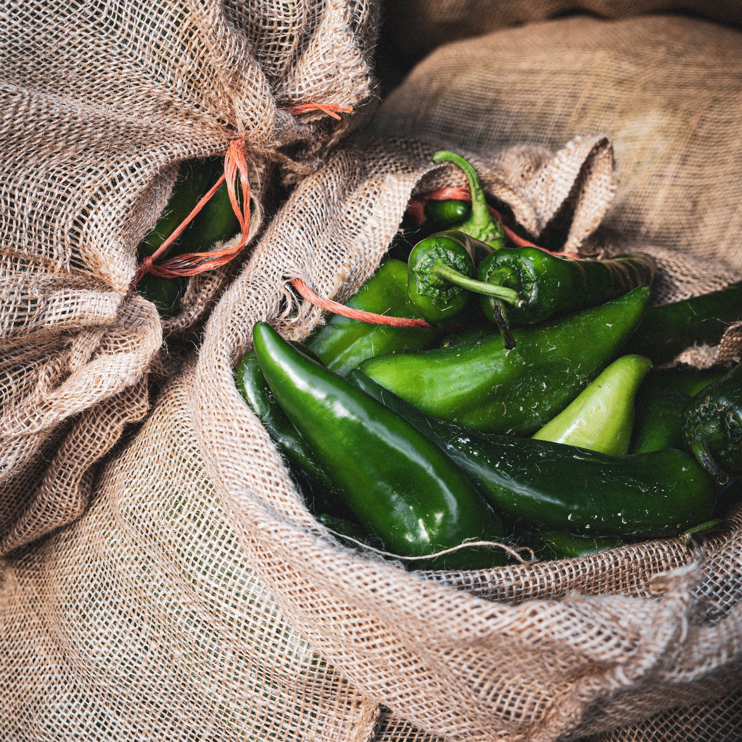 Flame Roasted Hatch Chile